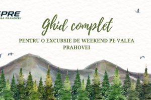 Ghid complet pentru o excursie de weekend pe Valea Prahovei, ilustrat printr-un peisaj montan cu brazi și munți în stil acuarelă.